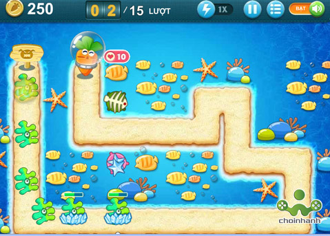 carrot-phong-thu-dai-duong