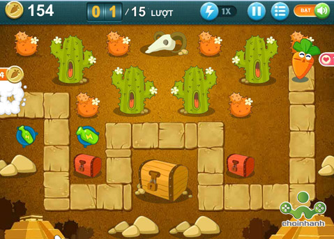 carrot-phong-thu-sa-mac